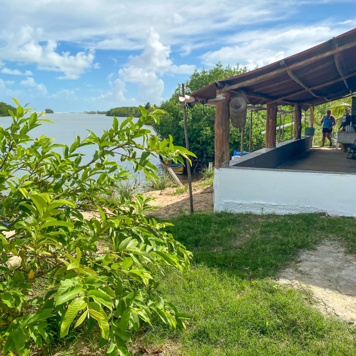 Passeio das Ostras