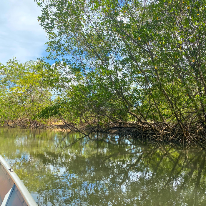 Passeio das Ostras
